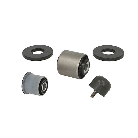 Set reparatie, lagare cabina sofer Set de reparatie a inclinarii cabinei Fata kitul contine: elemente de montare maneca maneca SCANIA PGRT 01.03- SMILE SC-028