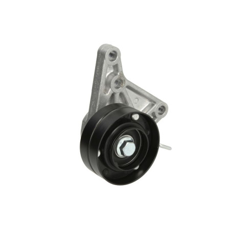 Intinzator,curea transmisie Intinzator cu curea multi-V JOHN DEERE BTA B05-AG-325