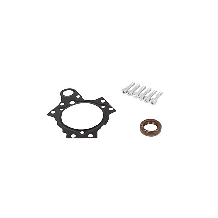 Set reparatie, pompa combustibil Repair kit injection system DW10B VDO X39-800-300-019Z