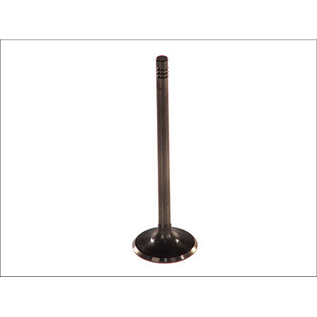 Supapa admisie 31x6x1031 OPEL ASTRA F ASTRA F CLASSIC ASTRA G ASTRA H CORSA B CORSA C MERIVA A TIGRA VECTRA B VECTRA C VECTRA C GTS ZAFIRA A 1.4/1.6 03.93-10.10 PARADOWSCY POPE003