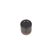 Piston, etrier frana Pistoan etrier Spate  FORD USA F-150 4.2-6.2 10.07- BBP 7959BBP