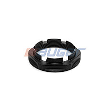 Piulita ax, planetara Piulita butuc roata Spate DAF 65 CF 75 CF 85 CF CF 65 CF 75 CF 85 LF LF 45 LF 55 XF 105 XF 95 AUTOBASCULA/AUTOTRACTOR/PLATFORMA/SASIU AUGER AUG77325