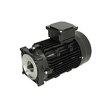 Accesorii si piese pentru dejantoare Motor for tyre changer / shaft truck BP590 TLC590 EVERT TC-20-M000002