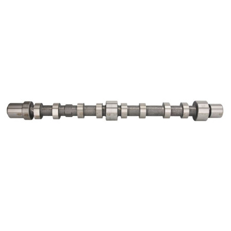 Ax cu came Arbore cu came Partea de admisie supape de admisie IVECO DAILY III DAILY IV DAILY V DAILY VI FIAT DUCATO UAZ PATRIOT 2.3D/3.0D 04.02- FRECCIA CM05-2199