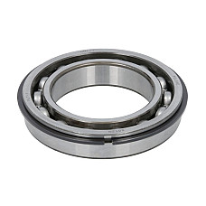 Set reparatie, diferential Differential element bearing CARRARO CARRARO 25820-CR