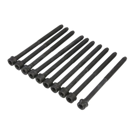 Set surub chiulasa Kit bolt chiulasa FIAT 500X JEEP RENEGADE 1.3 08.18- REINZ 14-17428-01