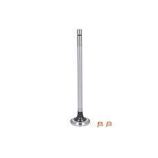Supapa evacuare Exhaust valve FP DIESEL 3800639-FP