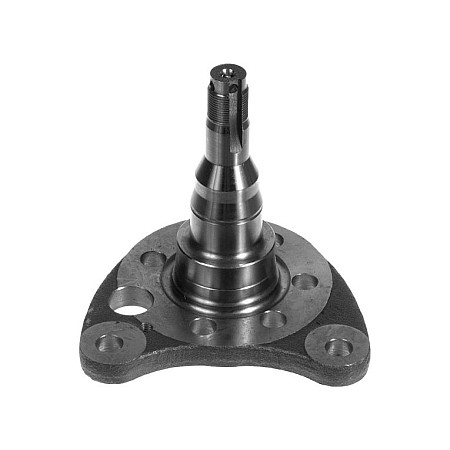 Articulatie directie, suspensie roata stecher butuc roata spate Dreapta SEAT CORDOBA CORDOBA VARIO IBIZA II TOLEDO I VW GOLF II GOLF III GOLF IV JETTA II PASSAT B3/B4 POLO POLO II 1.0-Electric 08.83-12.02 MEYLE 100 501 0011