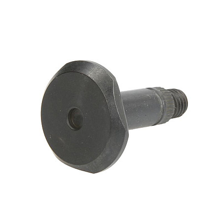 Boltturi de reglaj,sistem de franare Pivotul mecanismului de frana cu disc manual PEUGEOT 307 08.00-09.03 CQ CQ760001