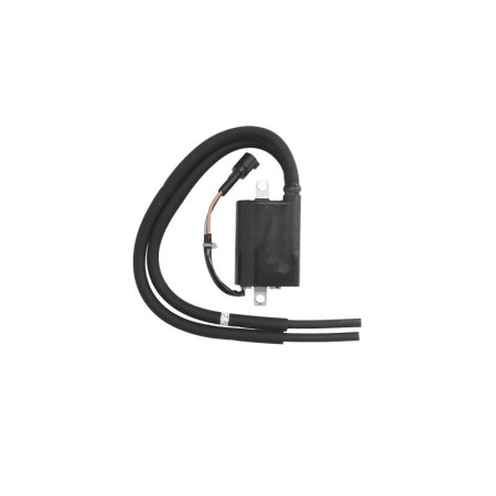 Bobina de inductie of the front cylinder SUZUKI DL 650 2007-2010 TOURMAX IGN-313