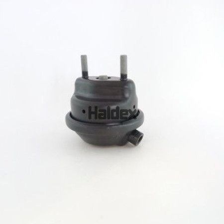 Cilindru de pretensionare Servomotor frana Spate cursa: 60mm M16x15mm 5 HALDEX 120909301