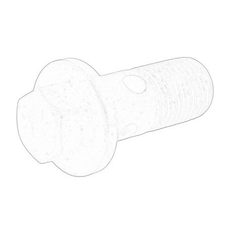 Surub cu cap tubular, incarcator Turbocharger oil hose screw carved M10X1.00-23 DACIA DUSTER DUSTER/SUV LODGY LOGAN LOGAN EXPRESS LOGAN II LOGAN MCV II SANDERO SANDERO II NISSAN KUBISTAR NV300 1.5D-3.0D 09.99- OE RENAULT 15 18 823 56R