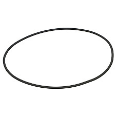 Set reparatie, diferential Differential element o-ring CARRARO CARRARO 139231-CR