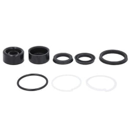 Kit reparatie piston de frana FENDT 200 K FARMER, 200 S FARMER, 200 SA FARMER, 200 V FARMER, 201 S FARMER, 201 SA FARMER, 203 K FARMER, 203 P FARMER, 203 P/III FARMER, 203 PA FARMER - FTE VAL9898039