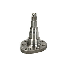Articulatie directie, suspensie roata stecher butuc roata spate Stanga Spate VW GOLF II GOLF III GOLF IV JETTA II PASSAT B3/B4 VENTO 1.0-2.8 08.83-06.02 BTA H5W028BTA