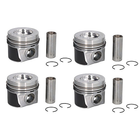 Piston 795 STD AUDI A1 A3 SEAT ALTEA ALTEA XL IBIZA IV IBIZA IV SC IBIZA IV ST IBIZA IV/HATCHBACK LEON TOLEDO IV SKODA FABIA II OCTAVIA II RAPID 1.2D/1.6D 02.09- NE 130050002500