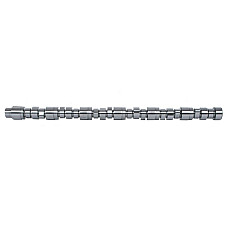 Ax cu came Camshaft FP DIESEL 3066877-FP
