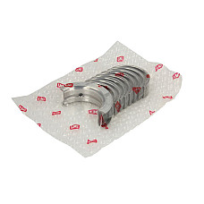 Set rulemt arbore cotit principal de rulmenti STD FIAT DOBLO DOBLO/MINIVAN FIORINO/MINIVAN GRANDE PUNTO PANDA OPEL AGILA ASTRA H ASTRA H GTC COMBO TOUR COMBO/MINIVAN CORSA C 1.3D 06.03- NE 180035000700