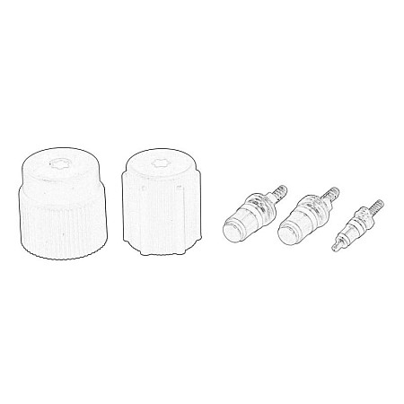 Set nucleu supapa, ventil service Air-conditioning system valve set with caps 7701045685 with valves 7701045682+7701045683+7701045684  NISSAN INTERSTAR KUBISTAR OPEL MOVANO A RENAULT CLIO I 1.2-Electric 05.90- OE RENAULT 77 01 205 920
