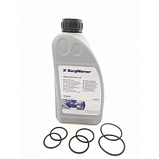 Caseta directie Differential pump o-ring set with oil BORG WARNER BW100255_2000884