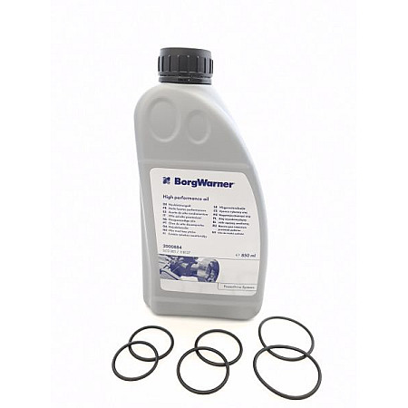 Caseta directie Differential pump o-ring set with oil BORG WARNER BW100255_2000884