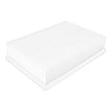 Filtru aer NISSAN NV400 OPEL MOVANO B RENAULT MASTER III 2.3D 02.10- OE NISSAN 1654600Q3E