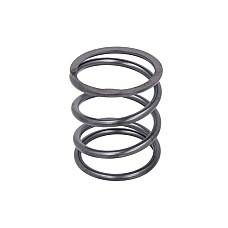 Set reparatie, diferential Gearbox element spring CARRARO TLB1 CARRARO 139351-CR