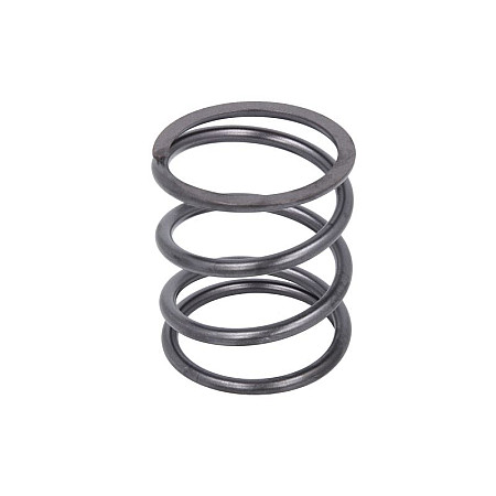Set reparatie, diferential Gearbox element spring CARRARO TLB1 CARRARO 139351-CR