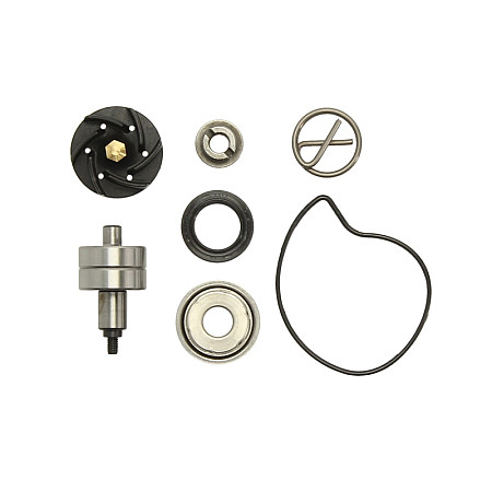 Set reparatie, pompa apa Water pump repair kit GILERA NEXUS OREGON PIAGGIO/VESPA BEVERLY CARNABY GTS GTV MP3 X7 X8 X9 X-EVO 200/250/300 2004-2010 RMS RMS 10 011 0210