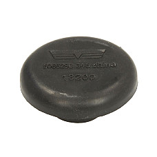 Surub de golire, ax Differential drain plug in rear flap DODGE DAKOTA DURANGO NITRO RAM RAM 1500 JEEP CHEROKEE COMMANDER GRAND CHEROKEE I GRAND CHEROKEE II GRAND CHEROKEE III 10.86- DORMAN DOR090-062