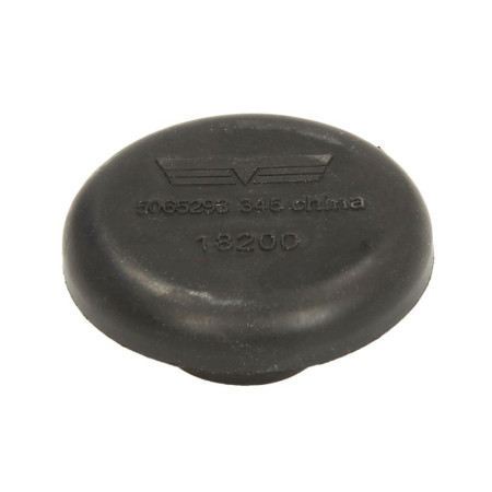 Surub de golire, ax Differential drain plug in rear flap DODGE DAKOTA DURANGO NITRO RAM RAM 1500 JEEP CHEROKEE COMMANDER GRAND CHEROKEE I GRAND CHEROKEE II GRAND CHEROKEE III 10.86- DORMAN DOR090-062