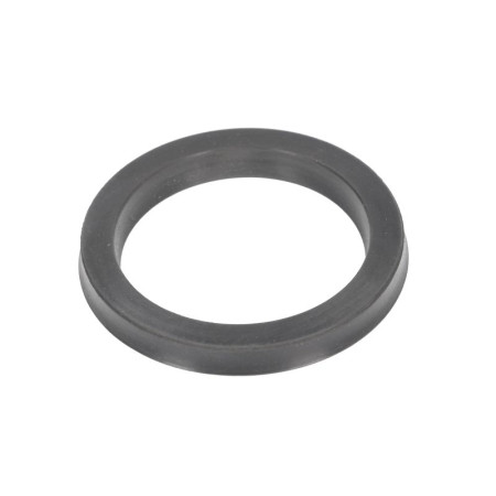 Accesorii si piese pentru dejantoare Oil seal actuator / for arm passenger 885IT EVERT C-71-1320003