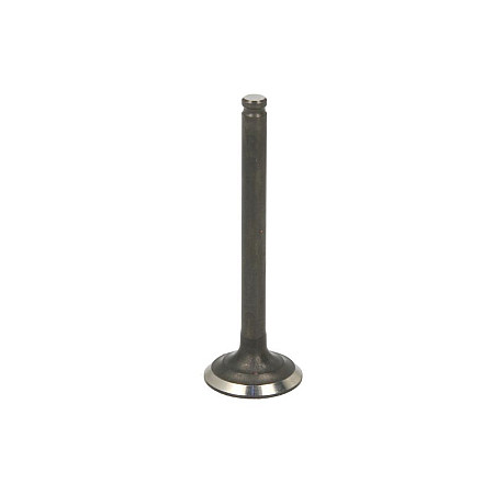 Supapa evacuare Exhaust valve PARSUN F6-04050002
