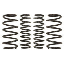 Set arcuri sport Eibach Pro-Kit-ul Skoda Fabia 6Y Combi / Station Wagon 2.0 1.4 TDI 1.9 SDI 1.9 TDI 10.00 - 900 kg/875 kg E10-79-001-02-22 30 mm / 30 mm EIBACH E10-79-001-02-22