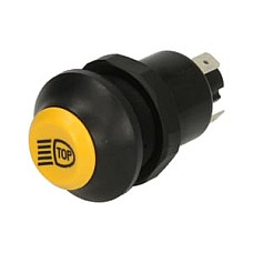 Light switch DEUTZ FAHR 3.30 F, 3.30 V, 3.50 F, 3.50 S, 3.50 V, 3.70 F, 3.70 V, 3.90 F, 3.90 S, DX 4.31 2WD, DX 4.31 4WD, DX 4.51 2WD, DX 4.51 4WD, DX 4.56, DX 6.06, DX 6.16, DX 3.57 - PNEUTRON 11130810XX