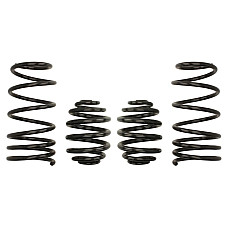 Set arcuri sport Eibach Pro-Kit-ul Renault Clio B BB 1.2 09.98-09.05 800 kg/785 kg E10-75-001-01-22 30 mm / 30 mm EIBACH E10-75-001-01-22