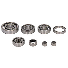 Set lagare, cutie viteze manuala Transmission repair kit HONDA TRX 420-520 2007-2022 HOT RODS HR00076