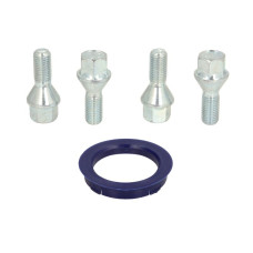 Trusa de montare a jantei de aliaj Fitting kit FZ16 74.1-58.1 B C19B24 60 cone M12x125 L24 1 kit / 1 wheel - 4 holes ITWHEELS ITW49017