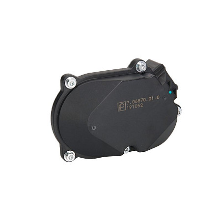 Element reglaj, clapeta (galerie admisie) Modul setari clapeta galerie admisie  AUDI A4 ALLROAD B8 A4 B8 A5 A6 ALLROAD C6 A6 C6 Q5 Q7 VW PHAETON TOUAREG 2.7D/3.0D 05.04-03.18 PIERBURG 7.06870.01.0