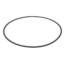 Garnitura, diferential Differential element o-ring DANA SPICER JOHN DEERE KOMATSU CATERPILLAR TH414C TH417C 642C DANA SPICER 112.07.009.01-DANA