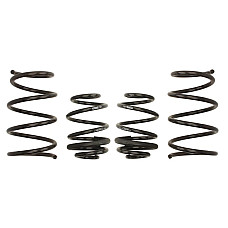 Set arcuri sport Eibach Pro-Kit-ul Renault Twingo N 12 masina 1.2Turbo 1.5dCi 03.07 - 810 kg/710 kg E10-75-009-02-22 25 mm/25 mm EIBACH E10-75-009-02-22