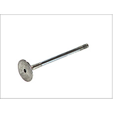 Supapa evacuare Robinet de evacuare 305x6x1056 BMW 3 E36 5 E34 Z3 E36 1.9/2.5 03.90-08.99 FRECCIA 4865/RCR