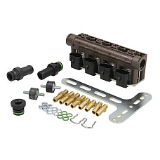 Rampa injector GPL LPG injection rail number of cylinders 4 pcs ACW-02 BFC AC LPG WGM2241AH