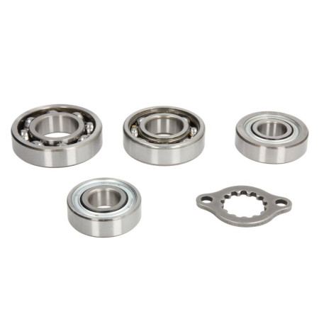 Set lagare, cutie viteze manuala Transmission repair kit HONDA TRX 400 2005-2014 HOT RODS TBK0012