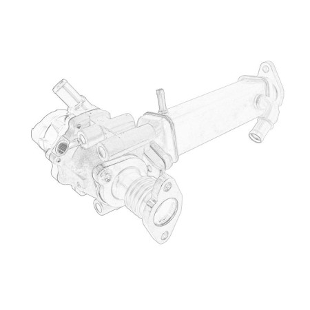 Radiator, recirculare gaze de esapament Exhaust gas recirculation radiator with EGR valve FIAT DUCATO 2.3D 07.06- OE FIAT 71797155
