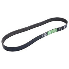 Multi-V-curea (8PK1130) se potriveste: CLAAS AVERO, CERGOS, COLUMBUS, COMET, COMMANDOR, COMPACT, CONSUL, DOMINATOR, GIGANT, HUCKEPACK, JAGUAR, LEXION, MATADOR, MEDION, MEGA 1306-9TA-T6.3724 - OPTIBELT 1003110AP