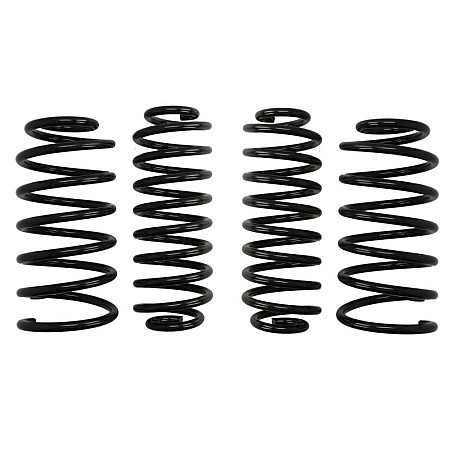 Set arcuri sport Eibach Pro-Kit Seat Leon 1M 1.4 1.6 11.99-08.05 910 kg/985 kg E8119-140 30 mm / 20-25 mm EIBACH E8119-140