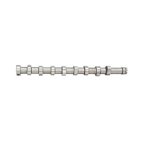 Ax cu came Arbore cu came Partea de admisie DS DS 3 DS 4 DS 5 VOLVO C30 S40 II S60 II S80 II V40 V50 V60 I V70 III CITROEN BERLINGO BERLINGO MULTISPACE 1.4D/1.5D/1.6D 05.02- AE CAM969