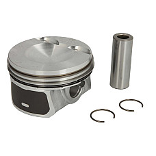 Piston 8301 +0 50 AUDI A3 TT VW BEETLE EOS GOLF V GOLF VI JETTA III JETTA IV PASSAT B6 SCIROCCO III TIGUAN 2.0 09.04- NE 130050005121