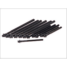 Set surub chiulasa bolturi BMW 1 E81 E87 3 E46 E90 X3 E83 Z4 E85 16 20 0601  ELRING EL010230